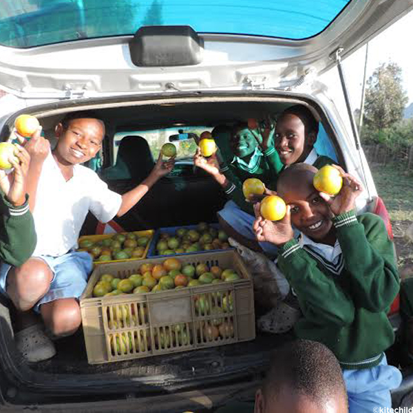 Greenhouses in Kenya Are Creating Change for Children